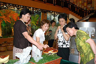 金年会 金年会
