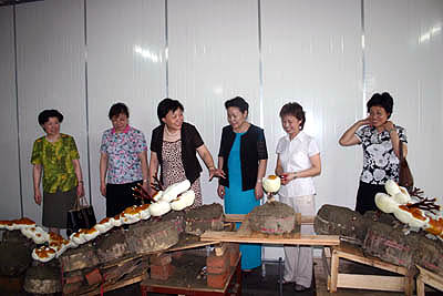 金年会 金年会
