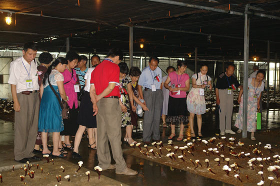 金年会 金年会